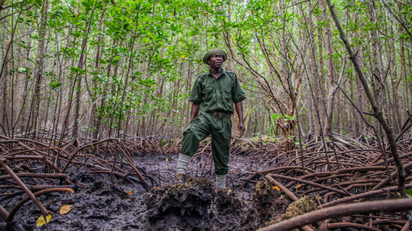 New nature fund needs $40m by December to get going
